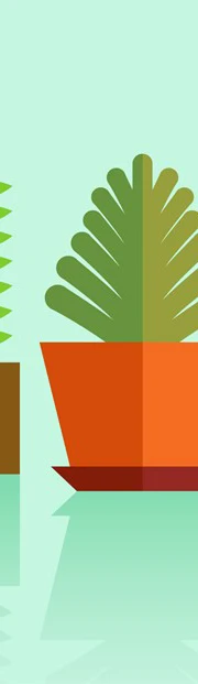 EBA issues decision on the patentability of plants and animals Plant Rights Article
